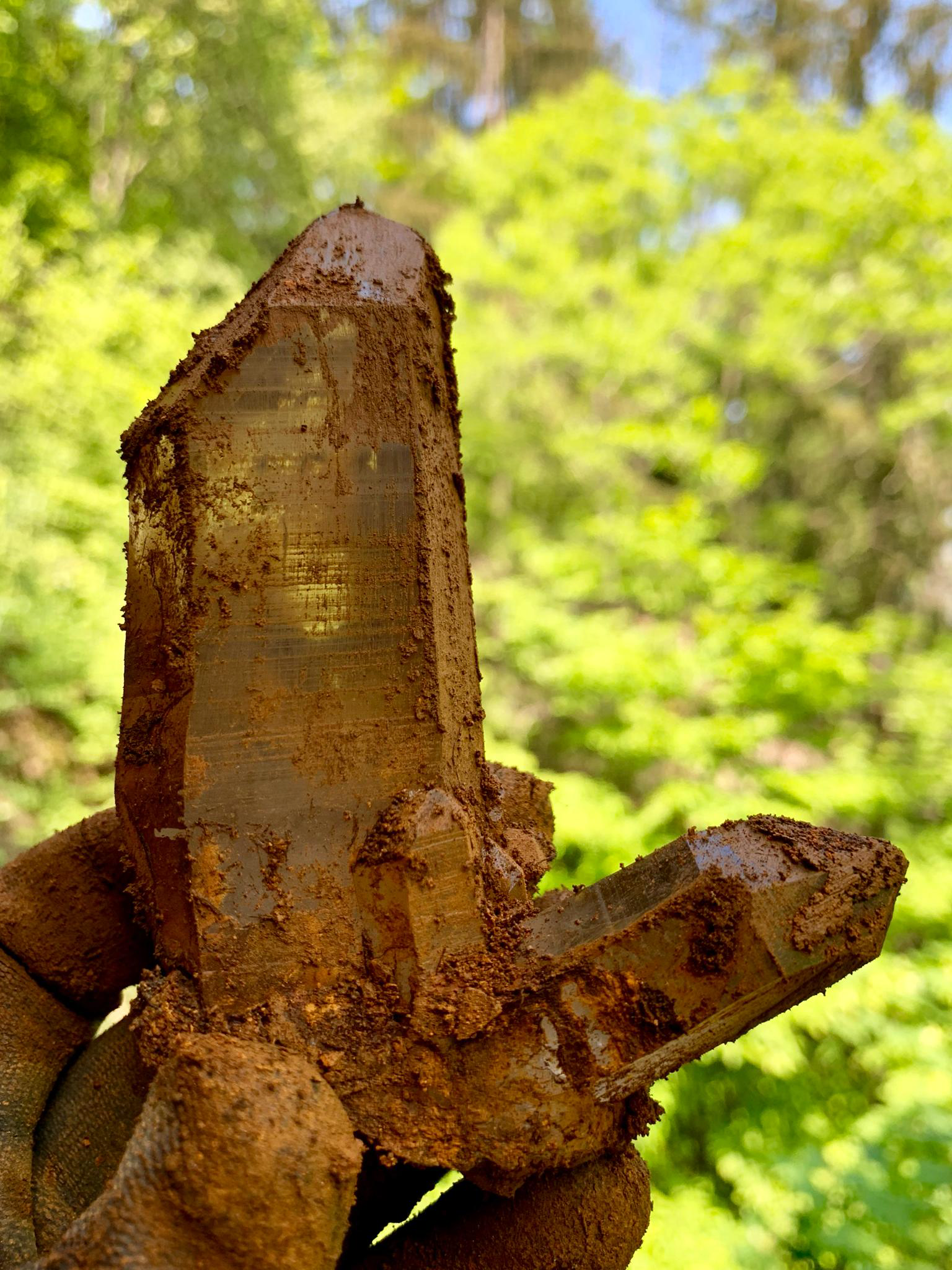 trouvaille Samuel Fillier, cristal non nettoyé